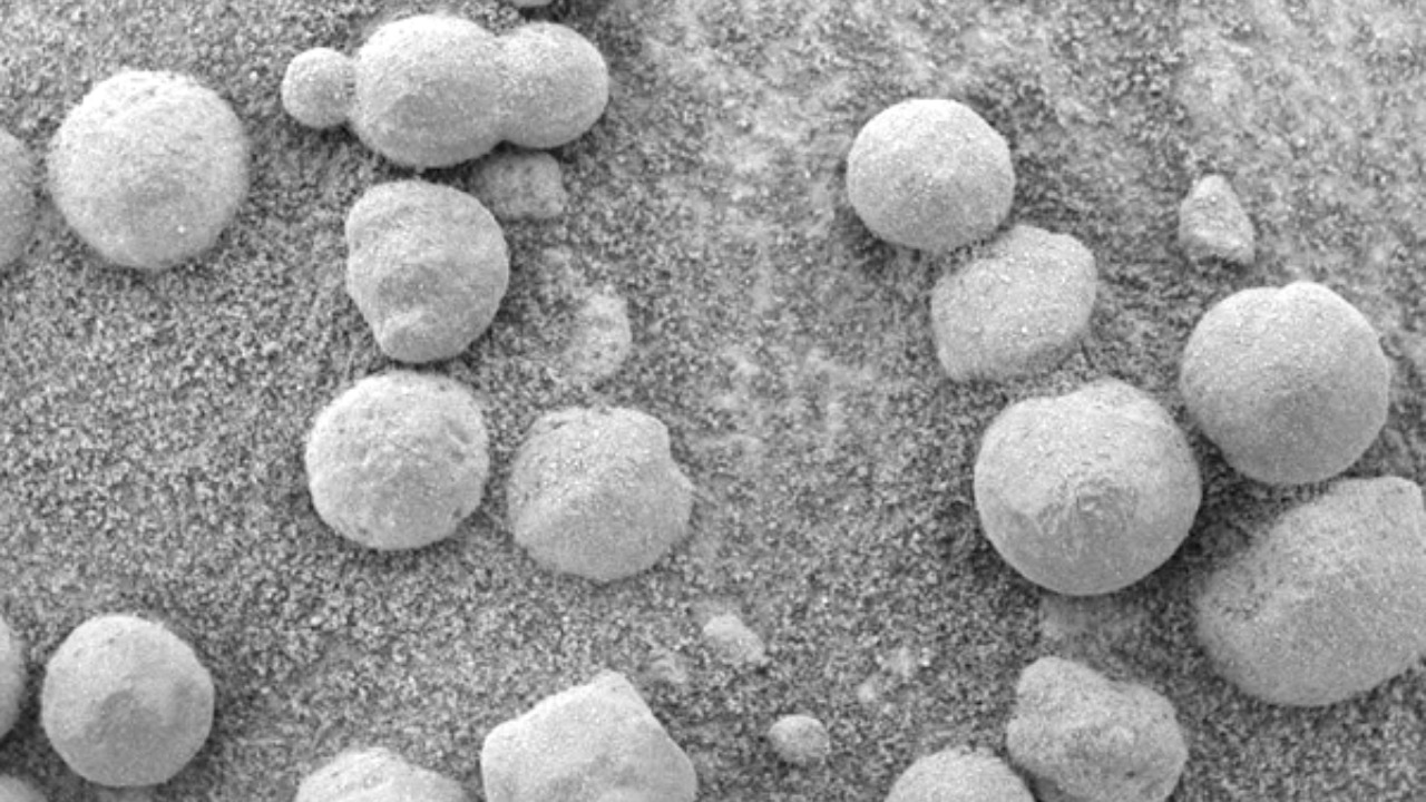 Image Credit: NASA/JPL/Cornell/USGS; modified from original by Tablizer at en.wikipedia - Public domain/Wiki Commons