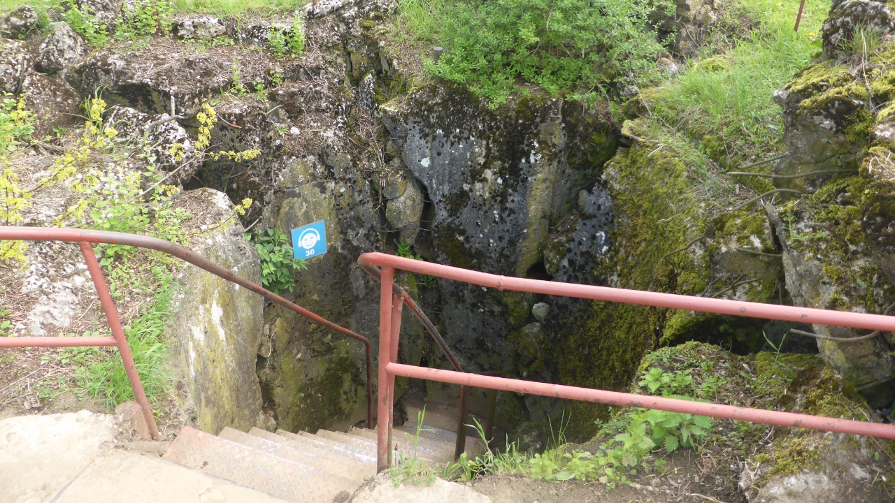 Image Credit: Bialo-zielony - CC BY-SA 4.0/Wiki Commons