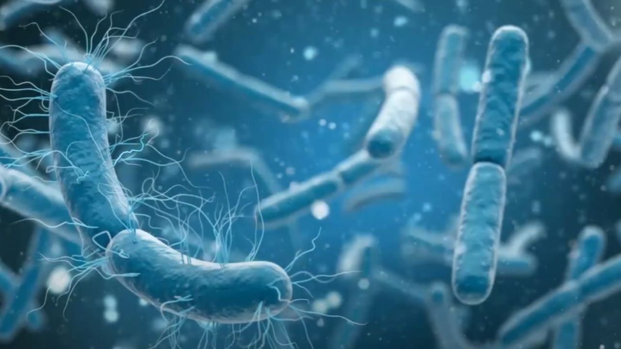 Your roommate’s genes might be reshaping your gut bacteria