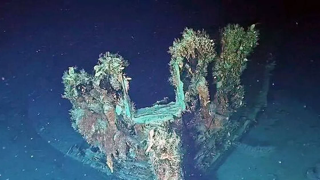 Image Credit: youtube.com/@nypost