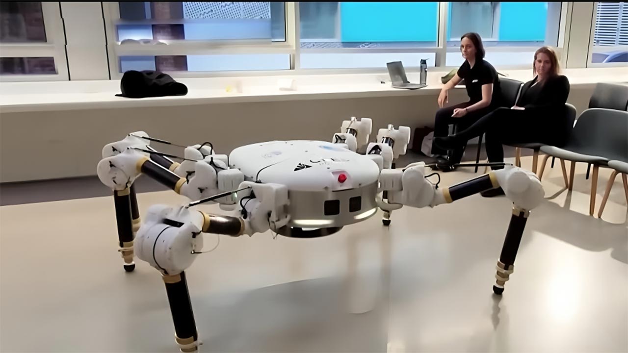 Image Credit: youtube.com/@DDIndia