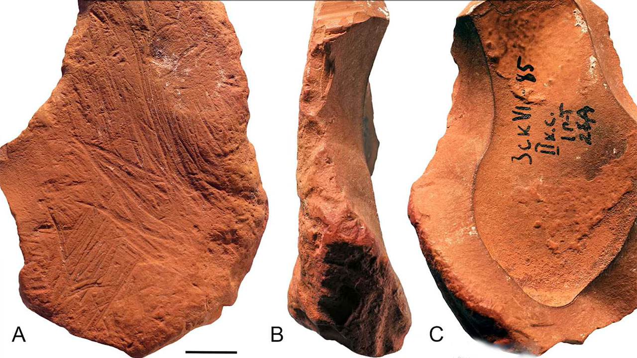 Neanderthals used ochre crayons 130,000 years ago