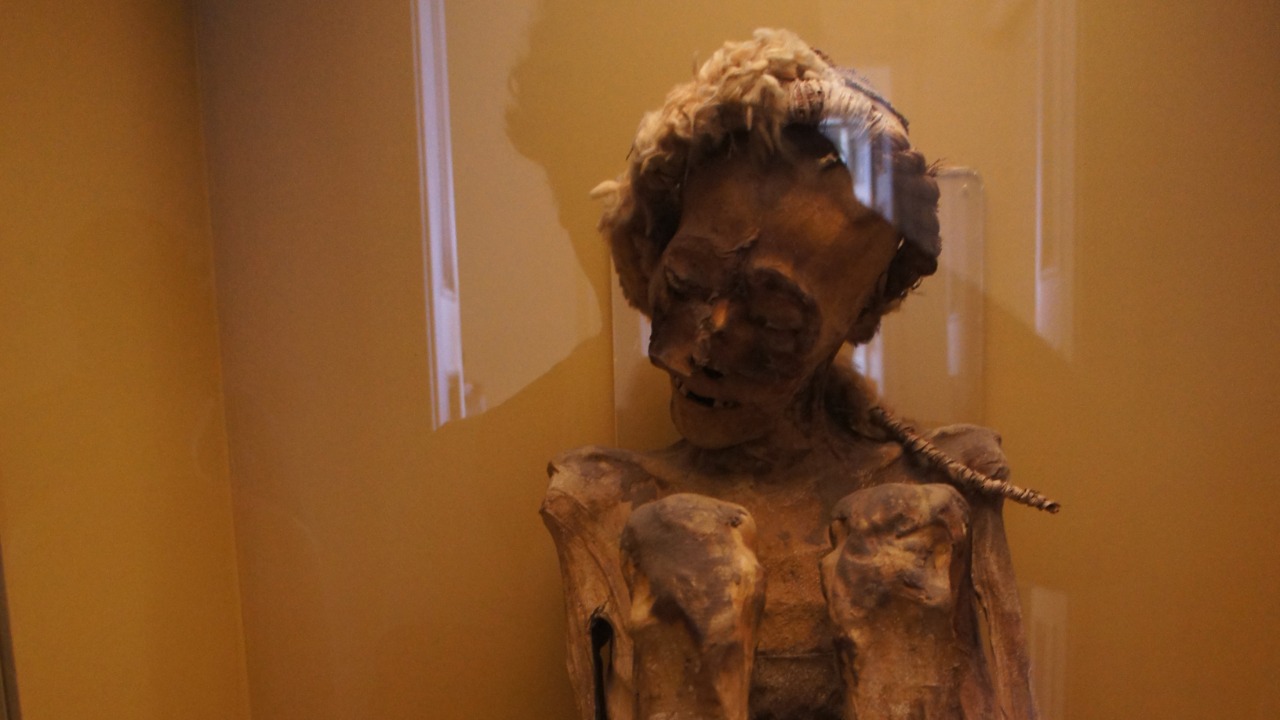 Image Credit: Demetrius William Lima - CC BY-SA 4.0/Wiki Commons