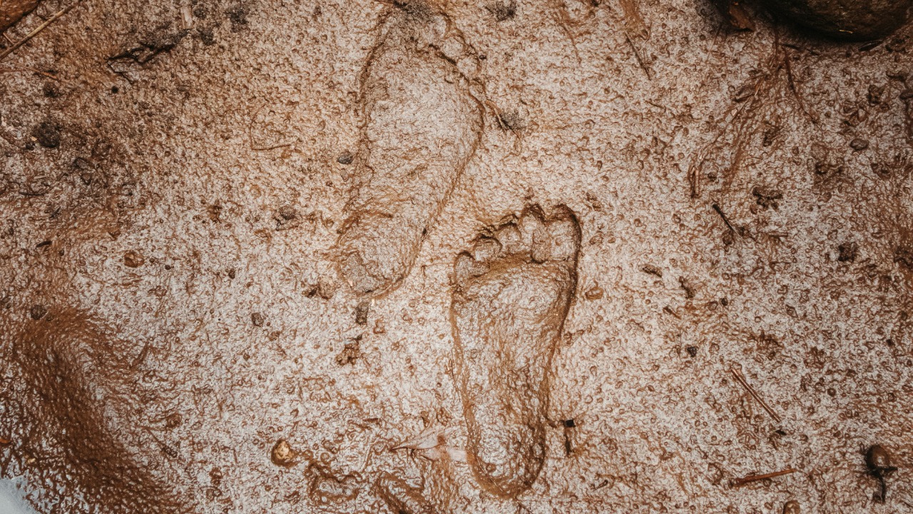 agungsatwika/Unsplash