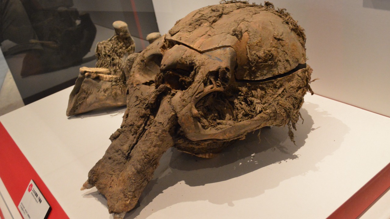 Image Credit: Nandaro - CC BY-SA 3.0/Wiki Commons