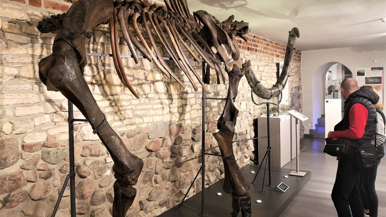 Image Credit: Silar - CC BY-SA 4.0/Wiki Commons