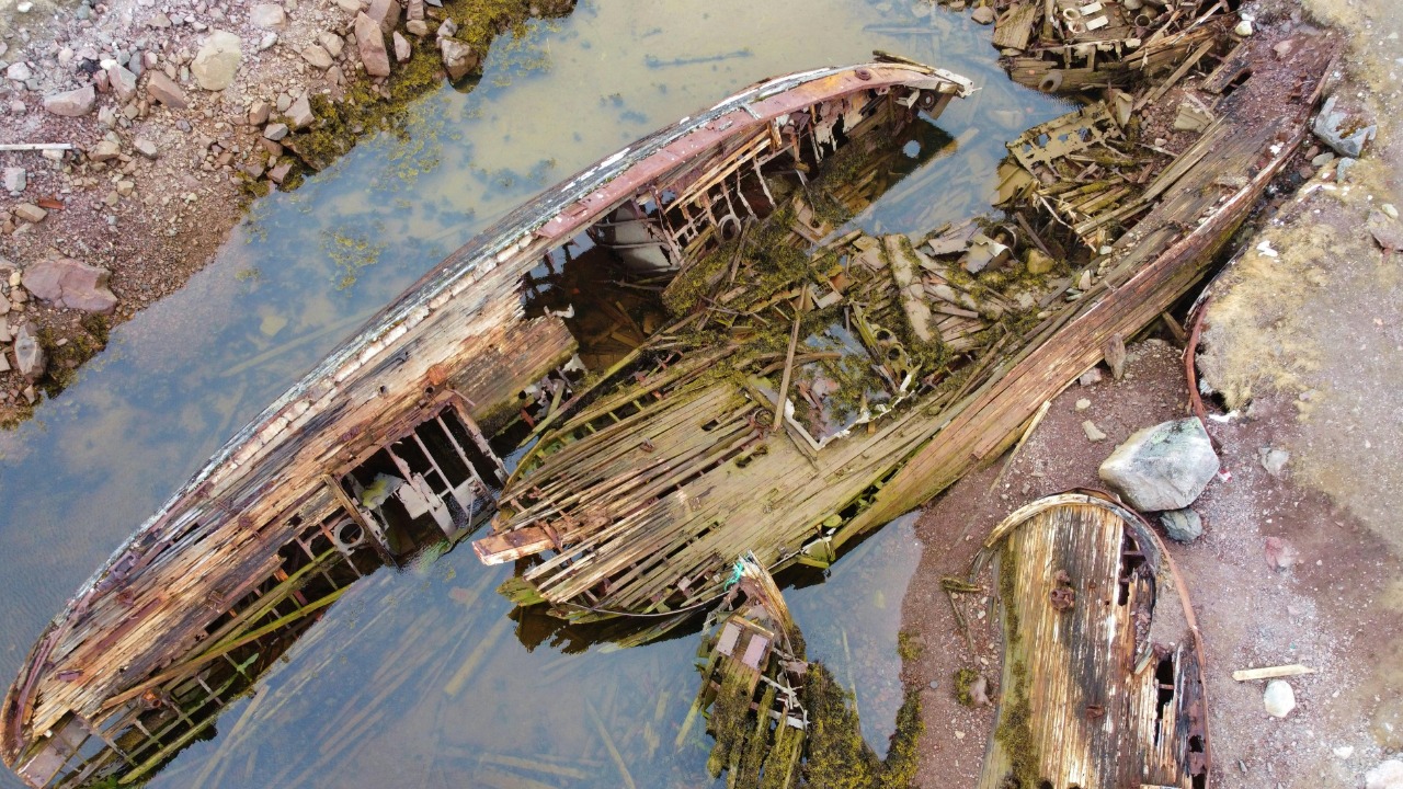 Natalia Goryaeva/Pexels