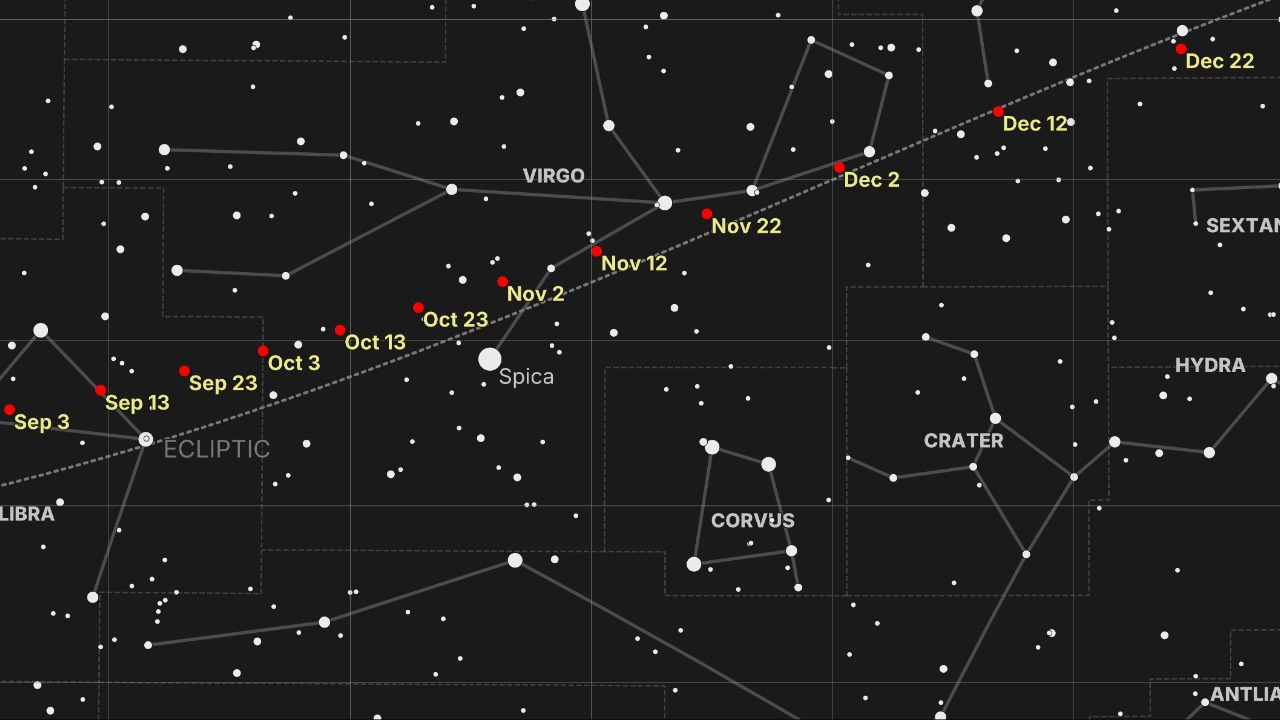 Image Credit: Thunkii - CC BY 4.0/Wiki Commons