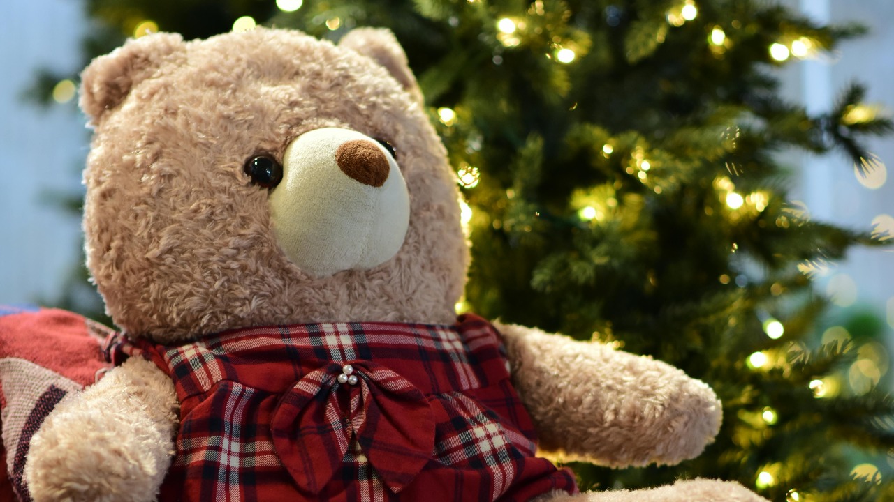 Sóc Năng Động/Pexels