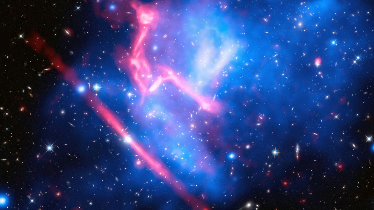 Microquasars emerge as the Milky Way’s fiercest accelerators