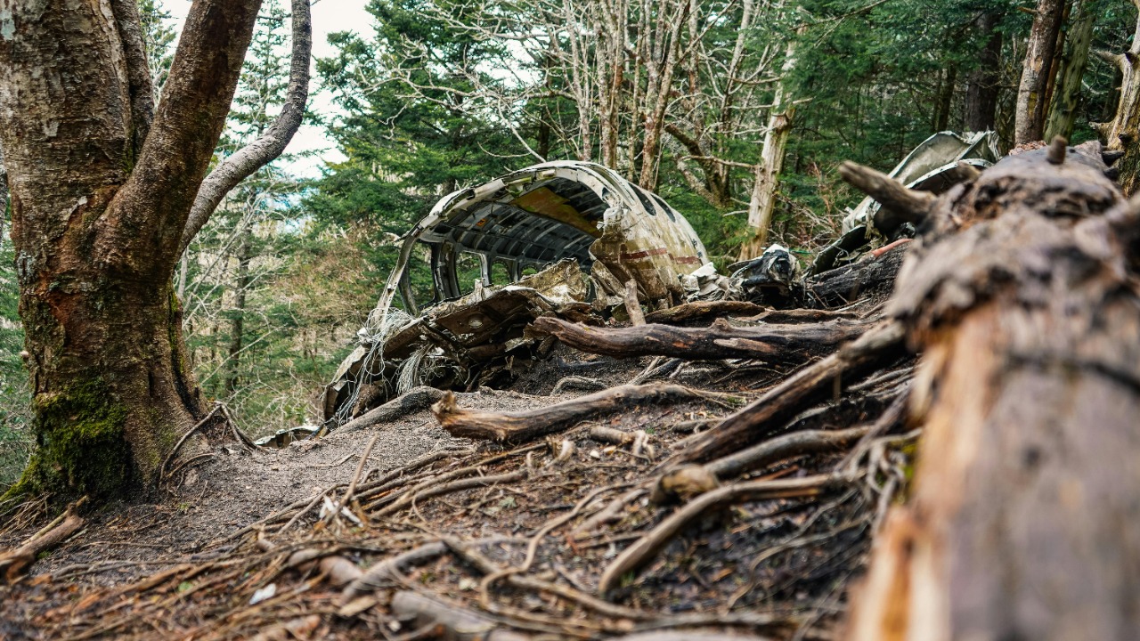 Lost remains of America’s first soldiers found by accident