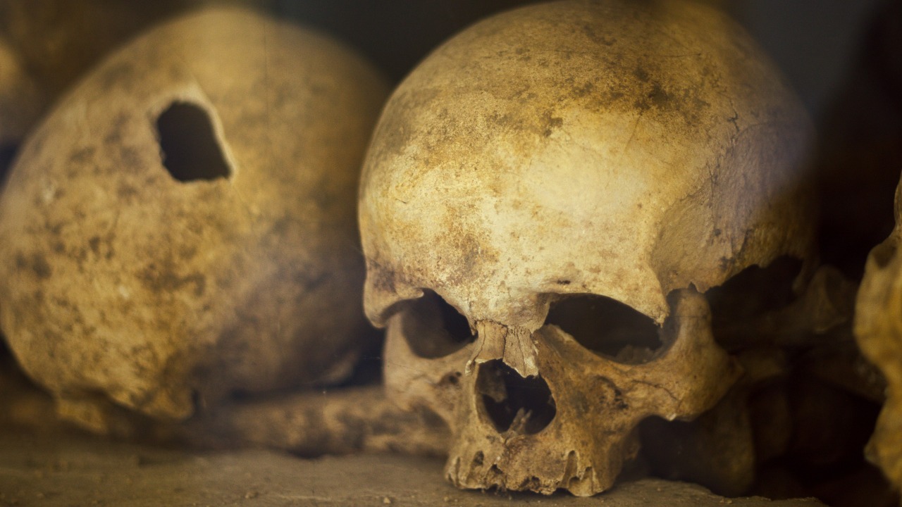 A hidden genetic rift may explain Neanderthal extinction