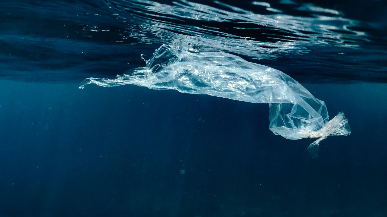 naja_bertolt_jensen/Unsplash