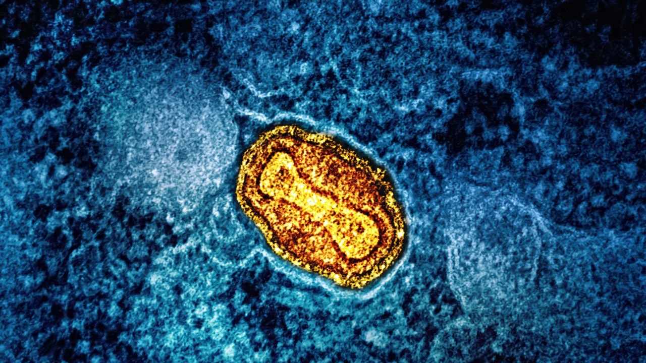 Tiny ancient virus reveals secrets to fight superbugs