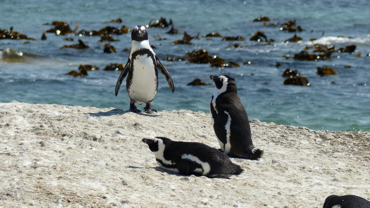 niceguy1966/Unsplash