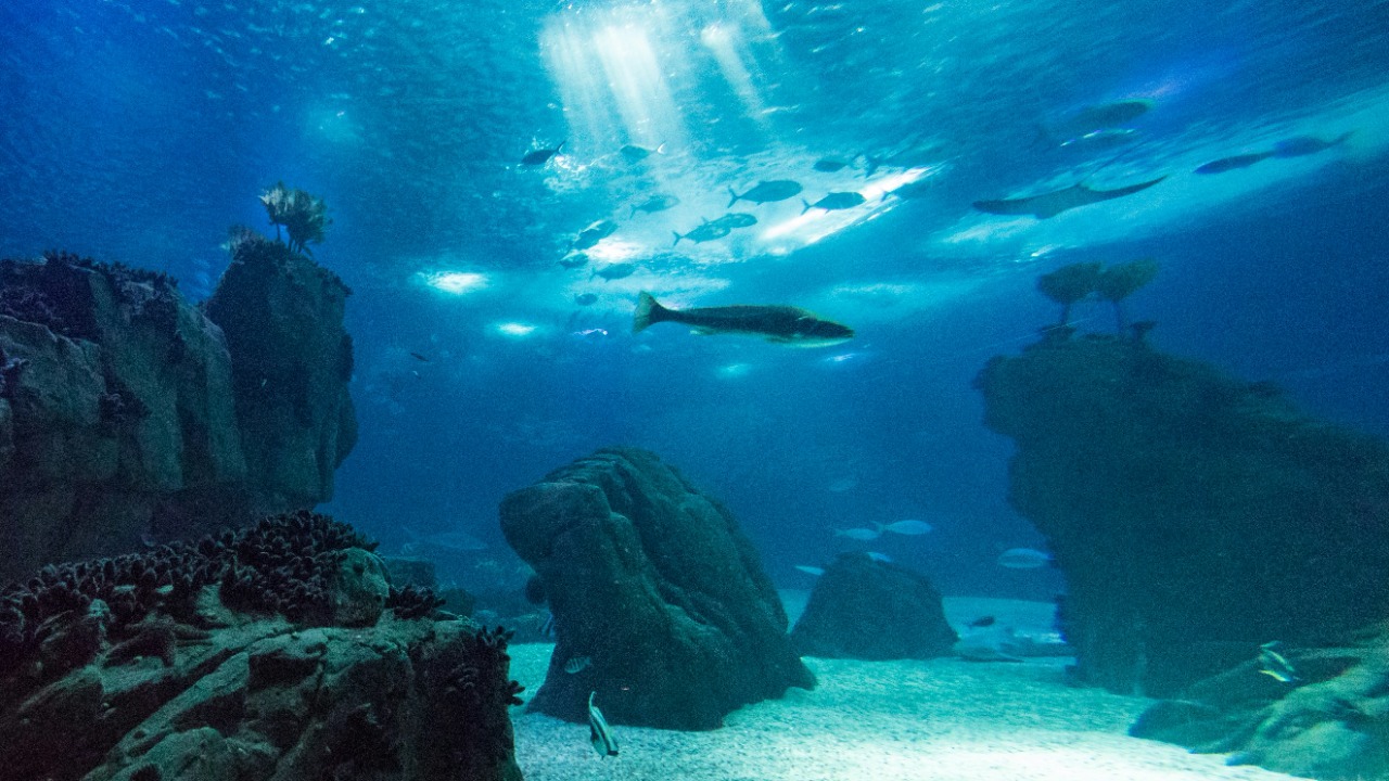 Massive underwater ruins may be plato’s lost atlantis, researcher says