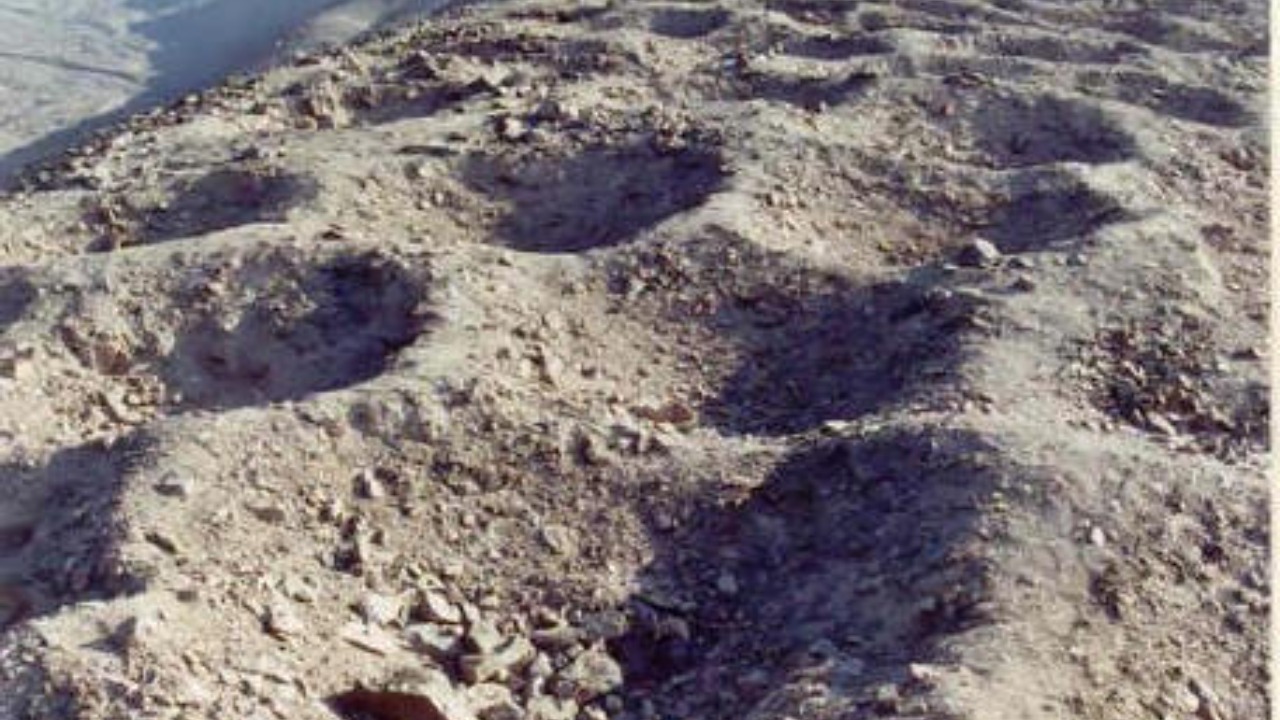 Thousands of mysterious holes in peru may finally be explained