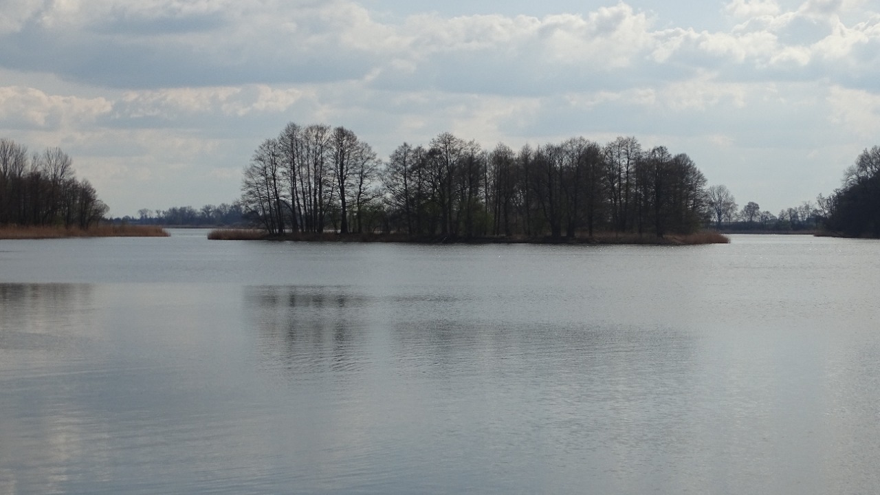 Image Credit: Robert Niedźwiedzki - CC BY-SA 4.0/Wiki Commons