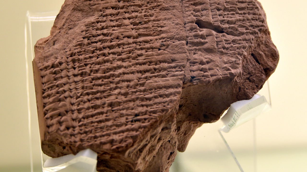 Image Credit: Osama Shukir Muhammed Amin FRCP(Glasg) - CC BY-SA 4.0/Wiki Commons