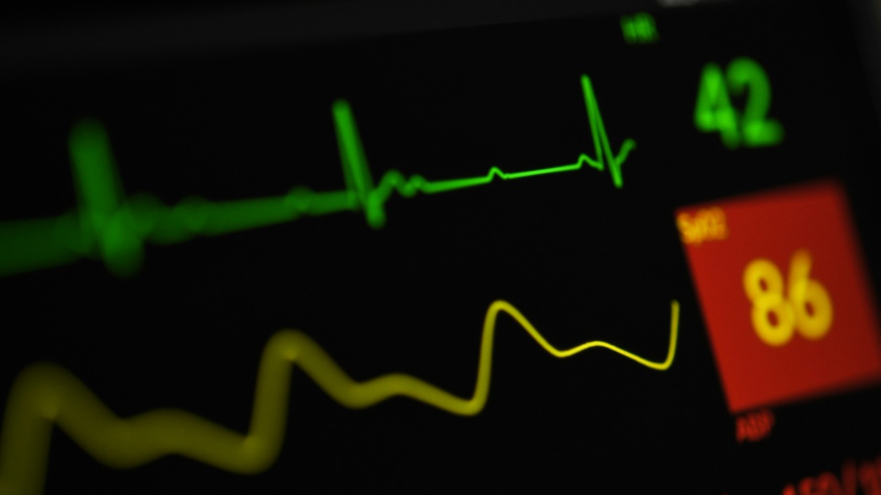 joshua_chehov/Unsplash