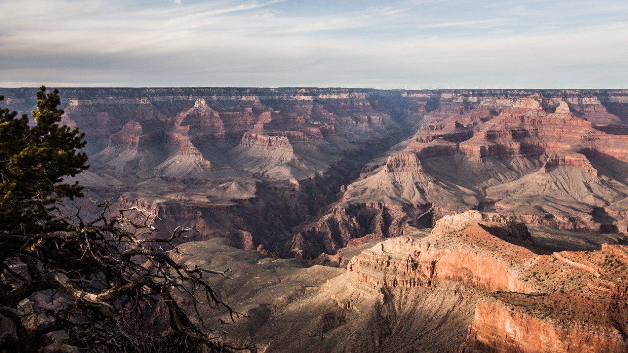 Image Credit: Tomascastelazo - CC BY-SA 3.0/Wiki Commons