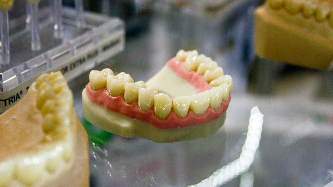 Two stem cells could regrow teeth and bone