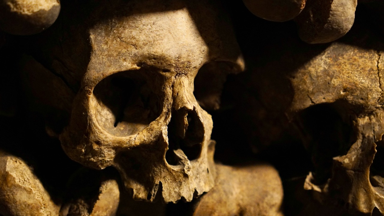 brettwharton/Unsplash