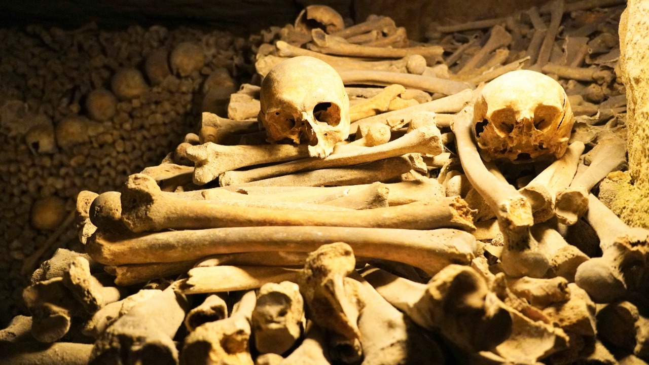 16th-century gallows and dozens of skeletons unearthed in France