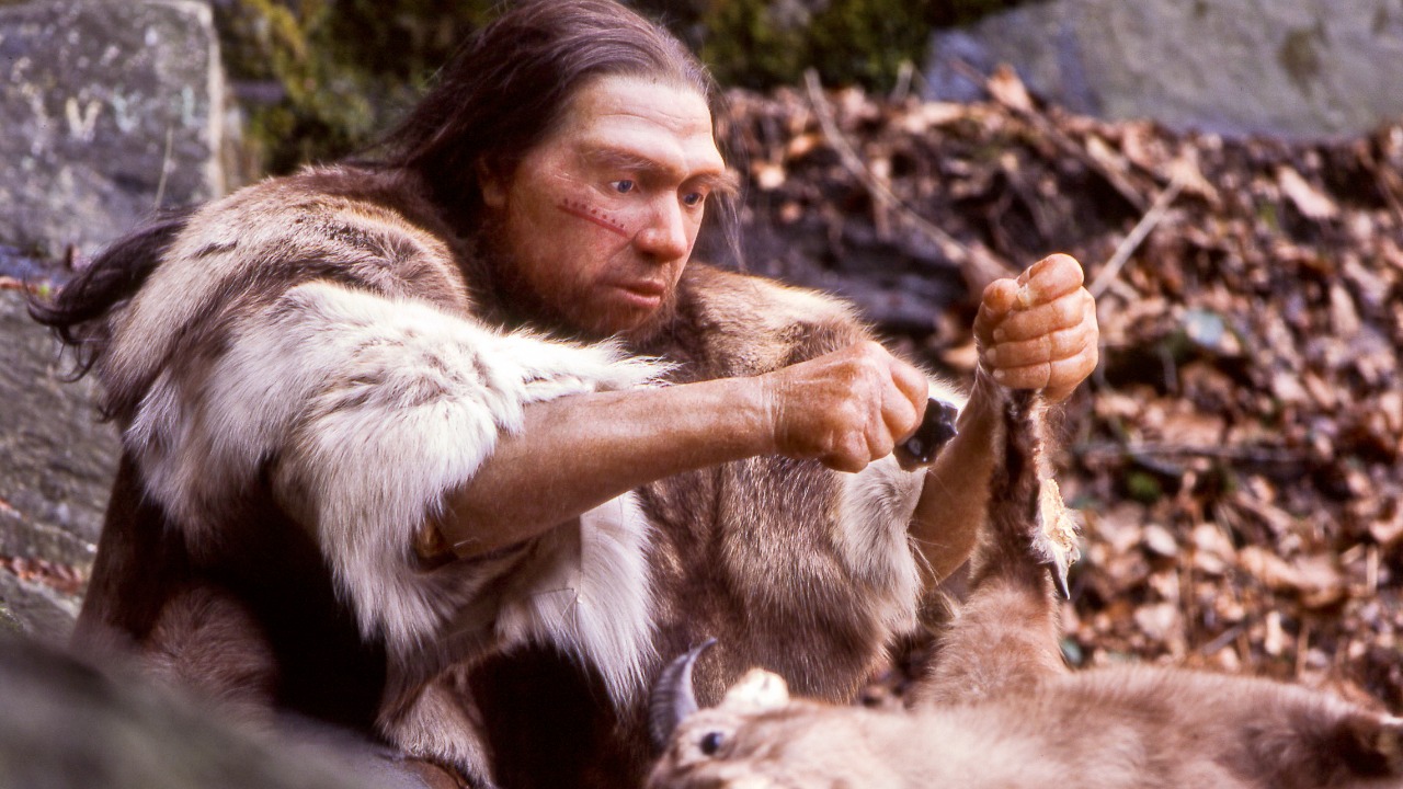 Image Credit: Neanderthal-Museum, Mettmann - CC BY-SA 4.0/Wiki Commons