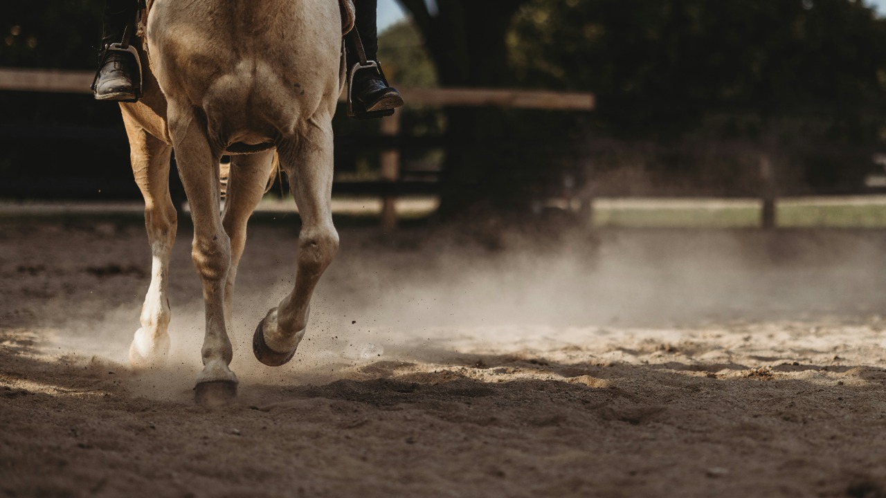 kimberlyarchambaultphoto/Unsplash