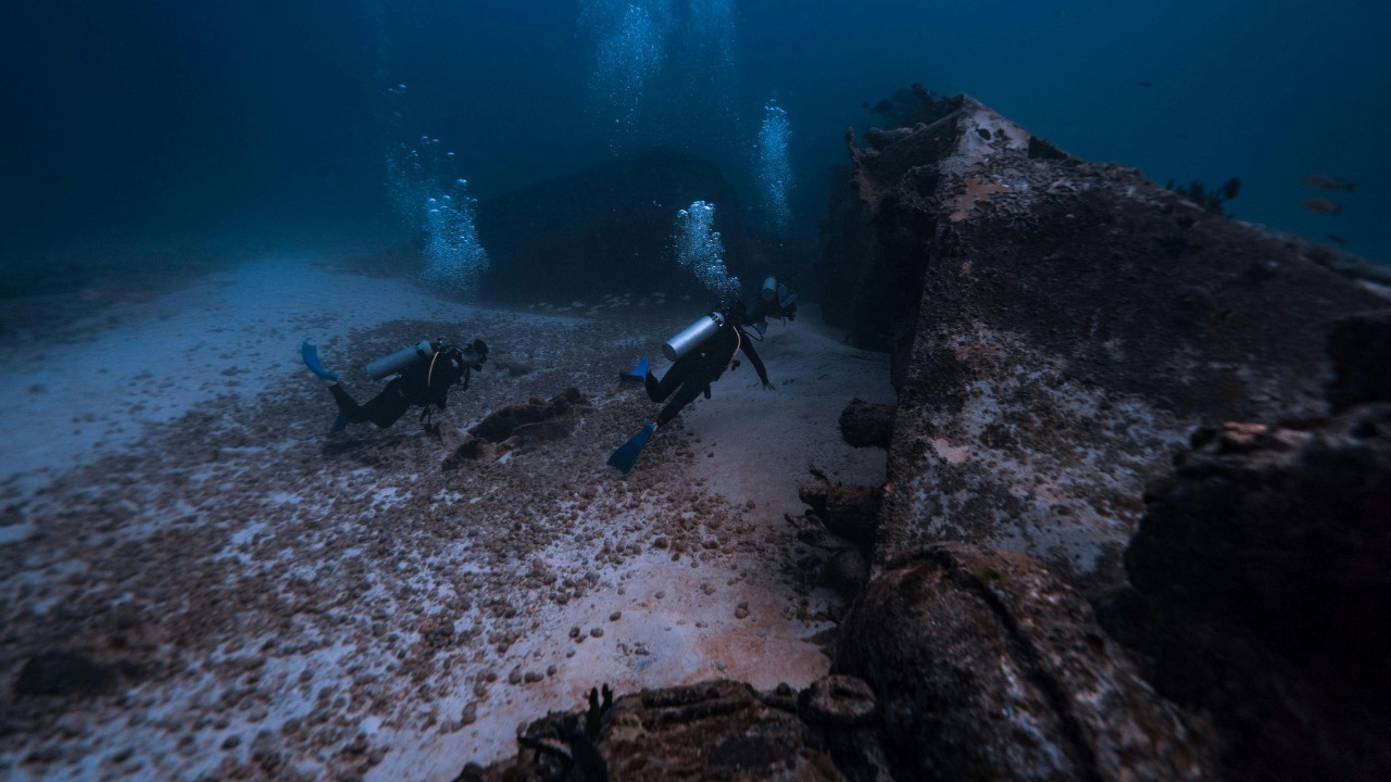 Harvey Clements/Pexels