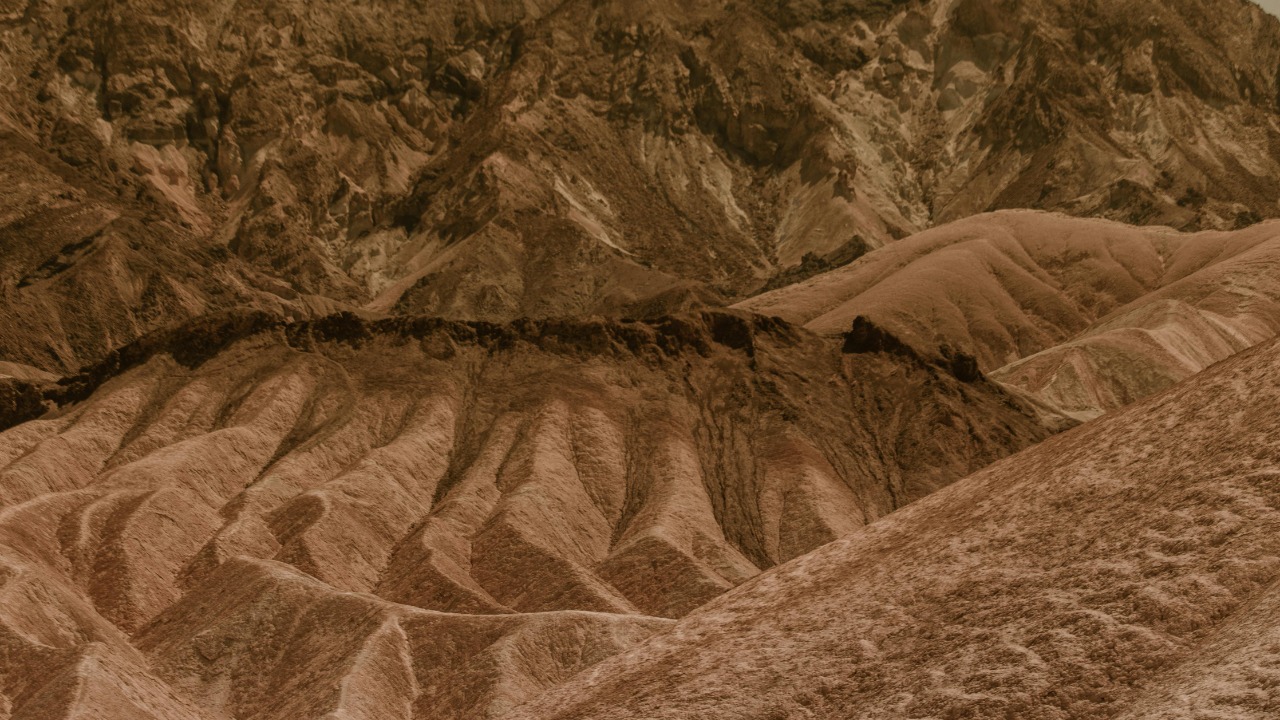 RDNE Stock project/Pexels