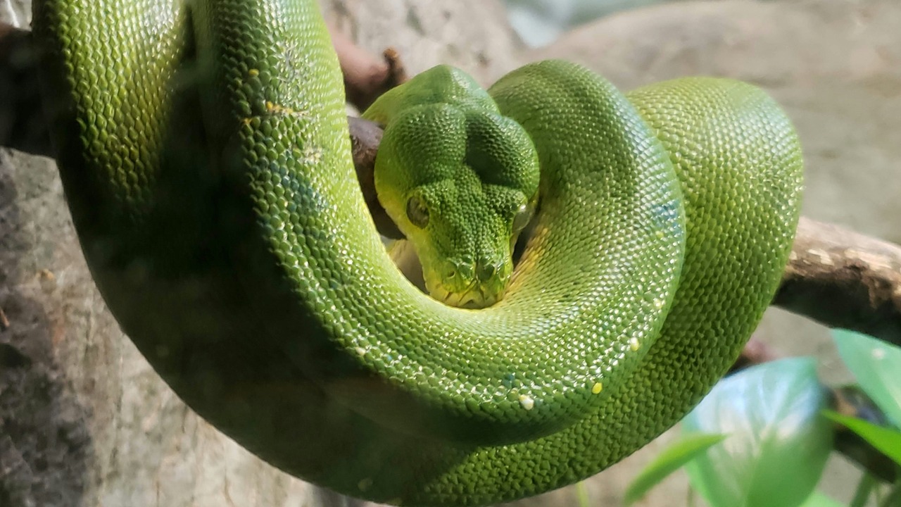 thejenishghadiya_/Unsplash