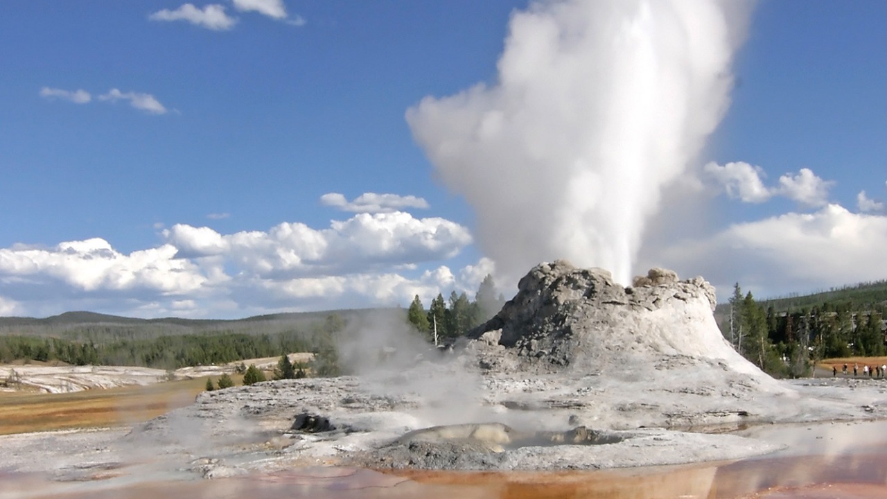 Image Credit: user: Flicka, Edited (Sharpening - Downsampled) by Arad Mojtahedi. - CC BY-SA 3.0/Wiki Commons