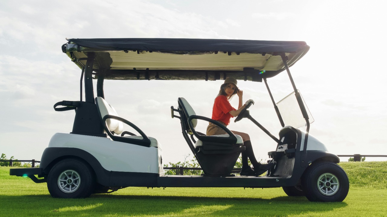 Mikhail Nilov/Pexels