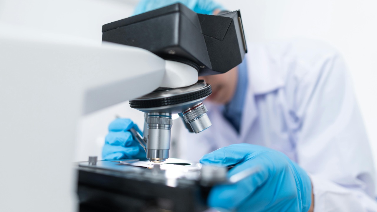 Chokniti Khongchum/Pexels