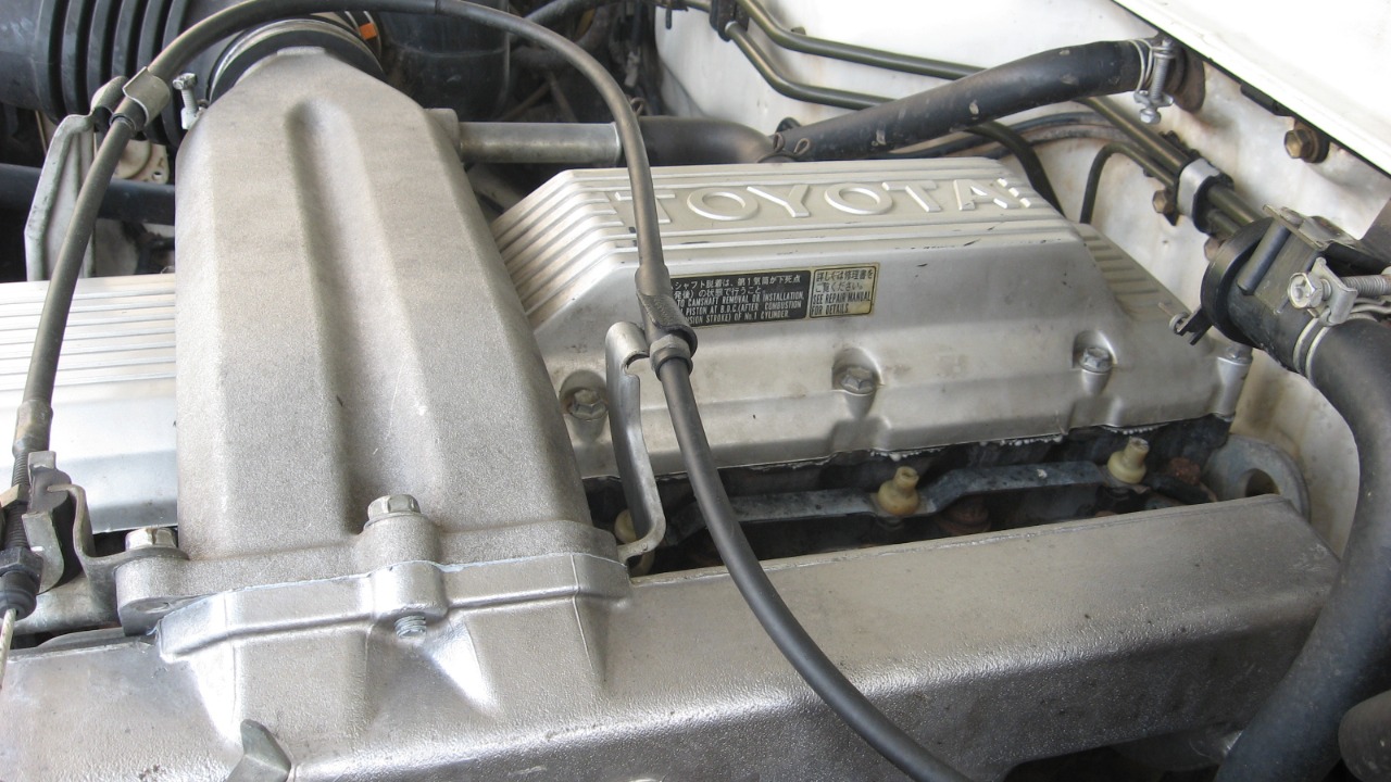 Image Credit: Berndw~enwiki - CC BY 3.0/Wiki Commons