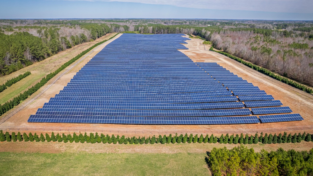 Mark Stebnicki/Pexels