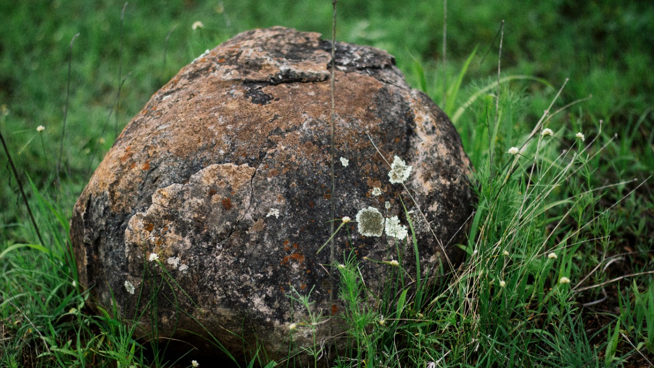 adolfofelix/Unsplash