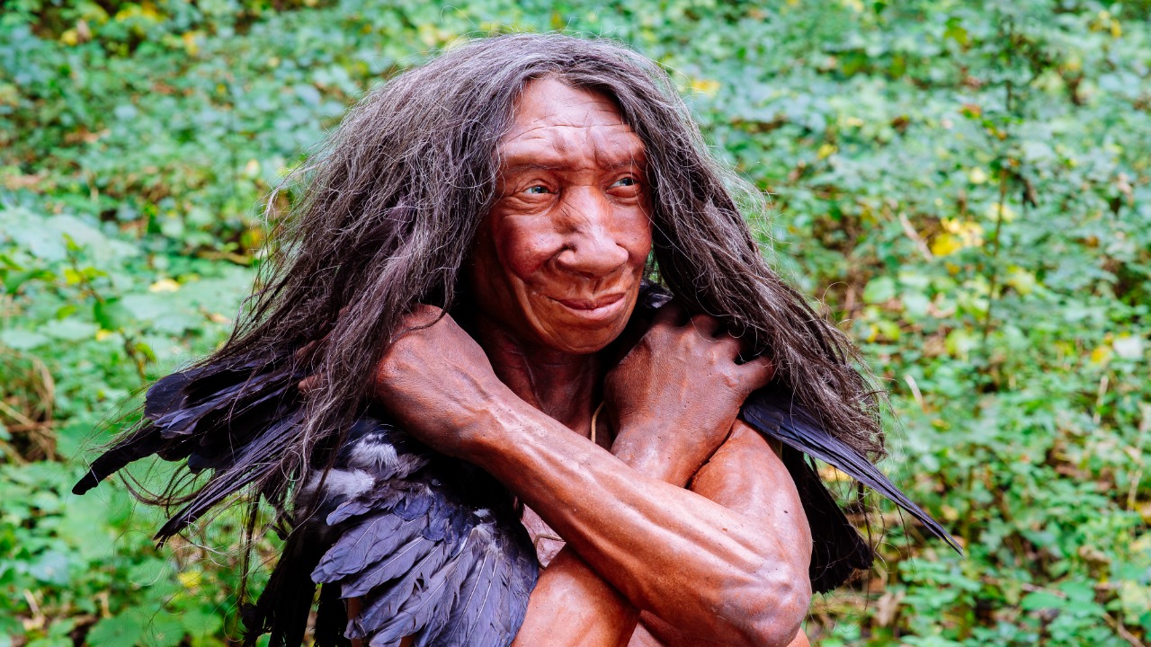 Image Credit: Neanderthal-Museum, Mettmann - CC BY-SA 4.0/Wiki Commons