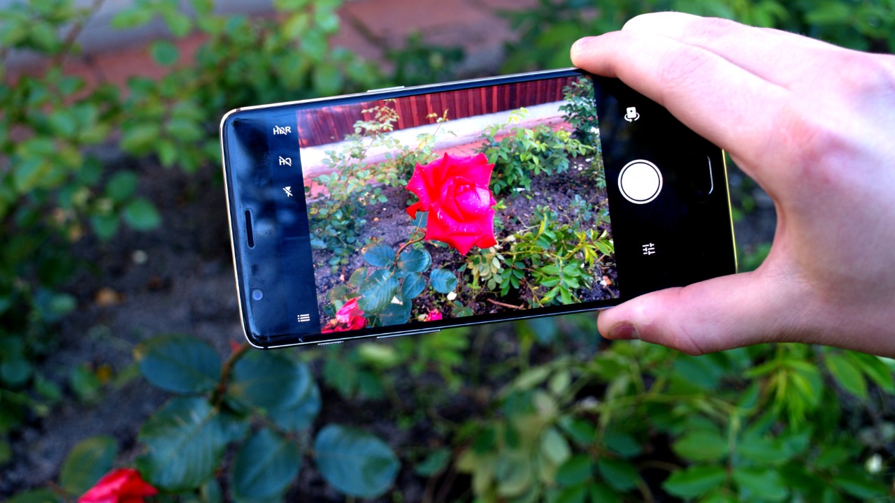 Image Credit: Santeri Viinamäki - CC BY-SA 4.0/Wiki Commons