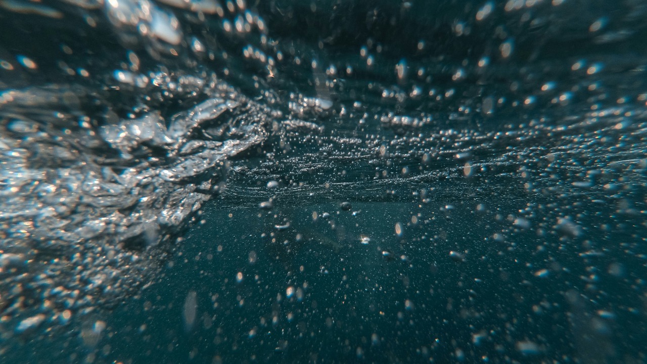 aleksandr_barsukov/Unsplash