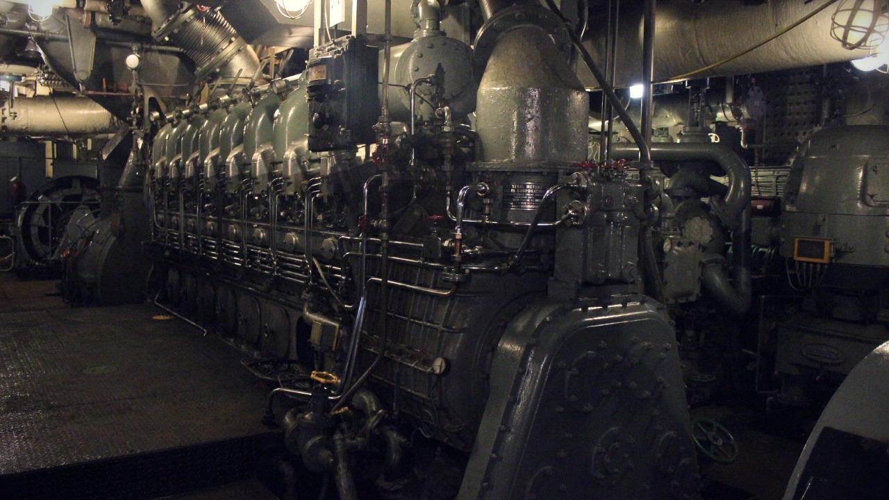 Image Credit: Kaylee La Spisa - CC BY-SA 4.0/Wiki Commons