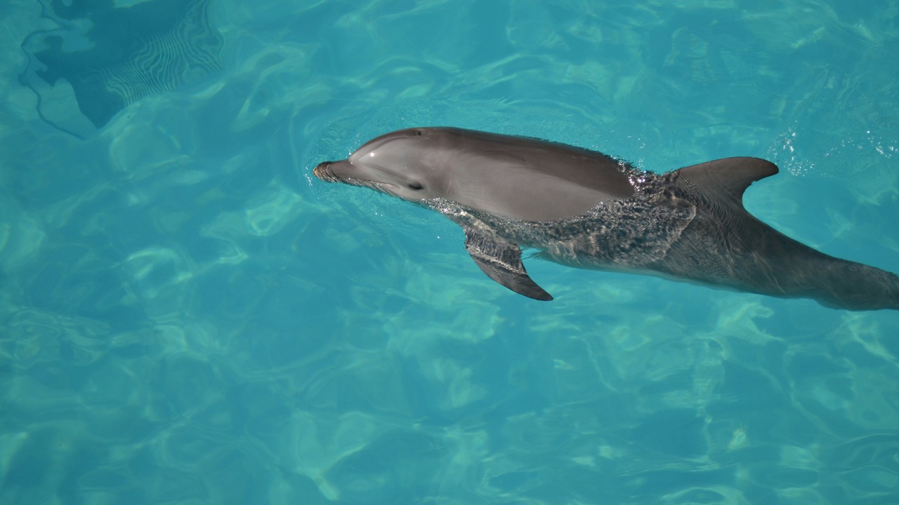 xadeugenia_sanchez/Unsplash