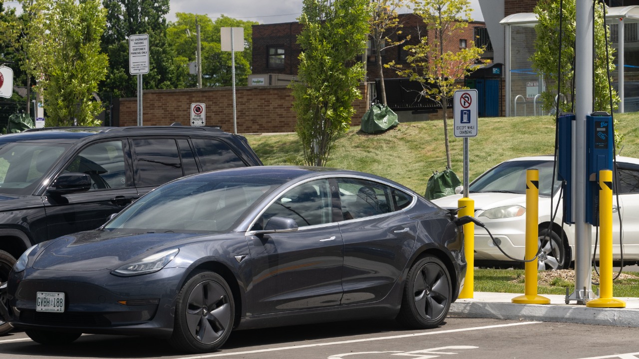 Image Credit: Crisco 1492 - CC BY-SA 4.0/Wiki Commons