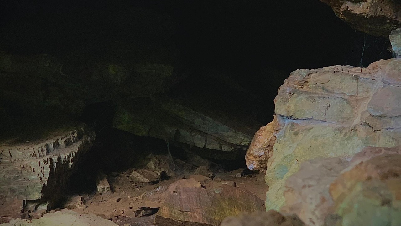 Image Credit: Teame01 - CC BY-SA 4.0/Wiki Commons