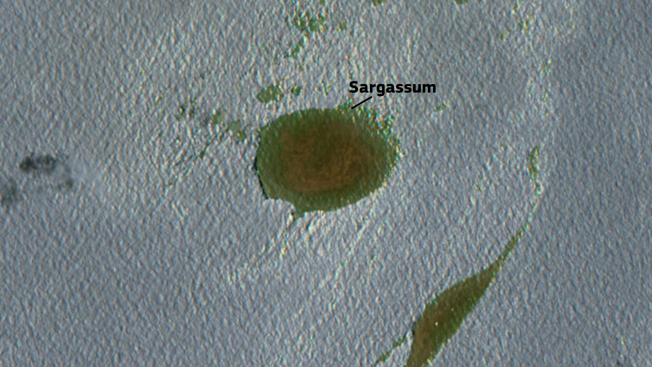 Image Credit: European Union, Copernicus Sentinel-2 imagery - Attribution/Wiki Commons