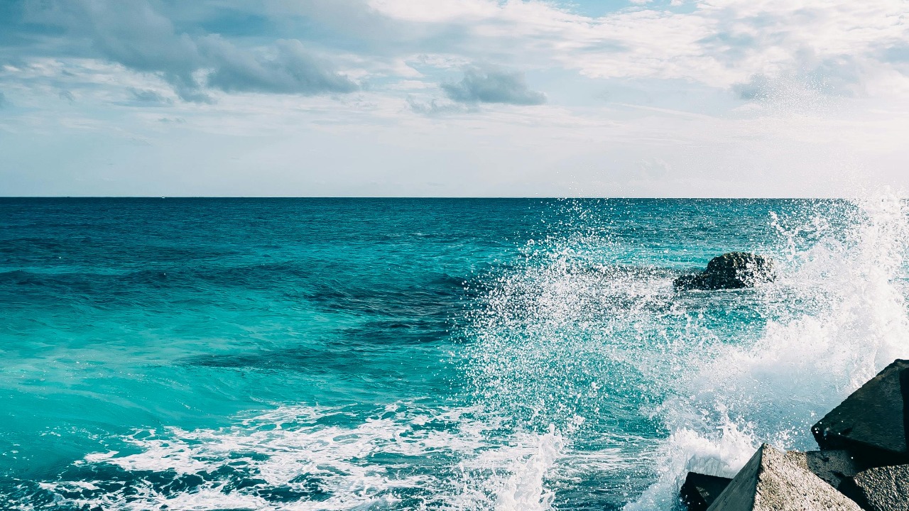 Ricky Esquivel/Pexels