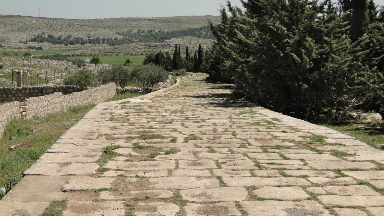 Image Credit: Bernard Gagnon - CC BY-SA 3.0/Wiki Commons