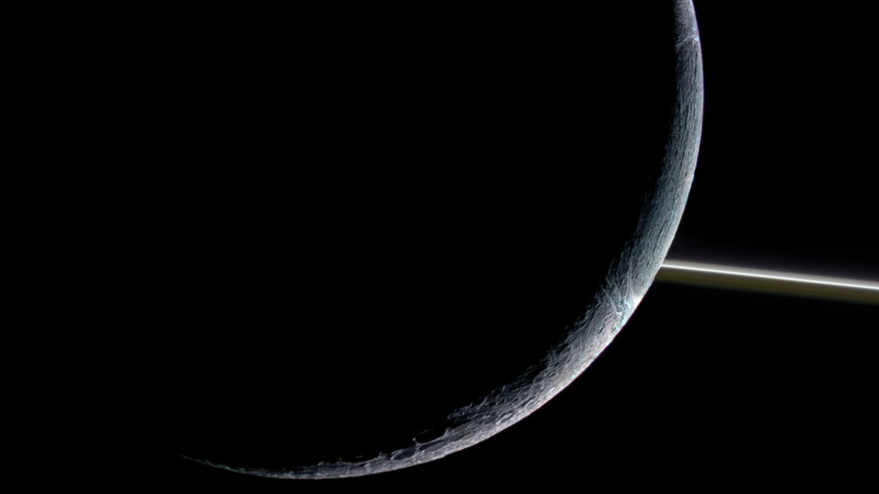 Image Credit: Kevin M. Gill - CC BY 2.0/Wiki Commons